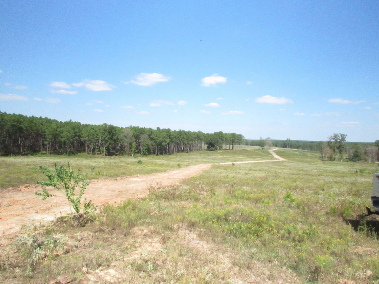 Real estate property located at 0001 FM 256 N, Tyler, The Timbers at 256, Woodville, TX, US