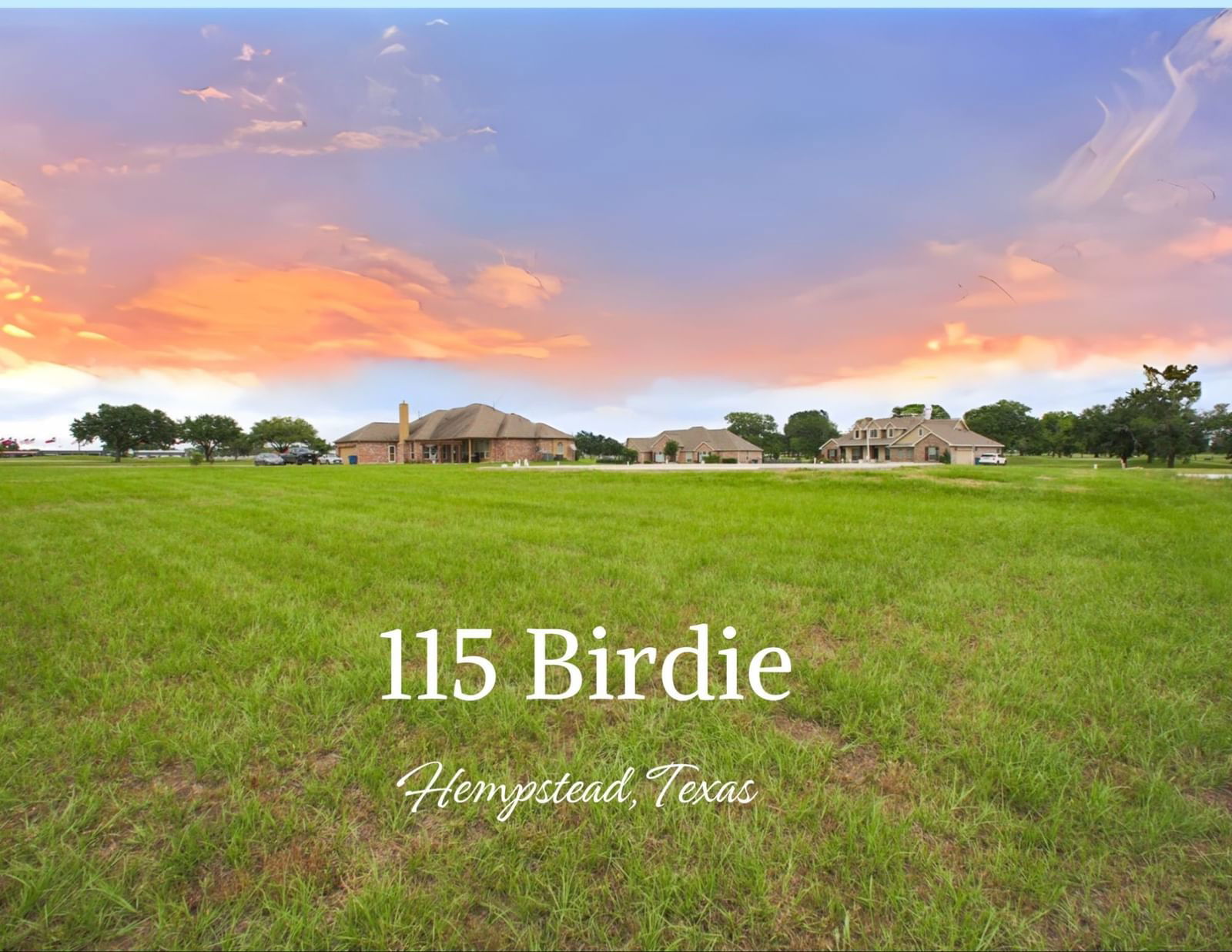 Real estate property located at 115 Birdie, Waller, Legendary Oaks, Hempstead, TX, US