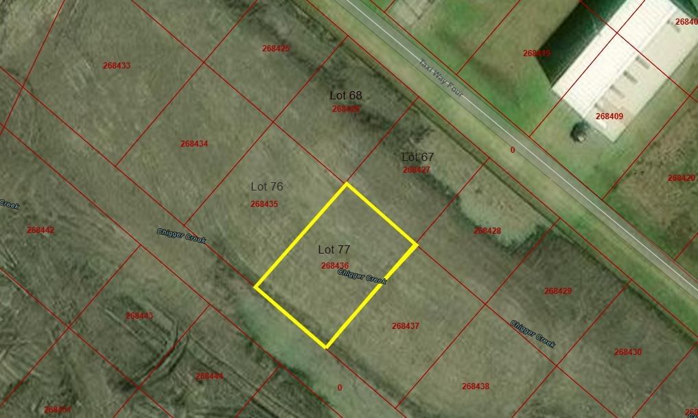 Real estate property located at Lot 77 Wolfe Airpark, Brazoria, Wolfe Airpark, Manvel, TX, US