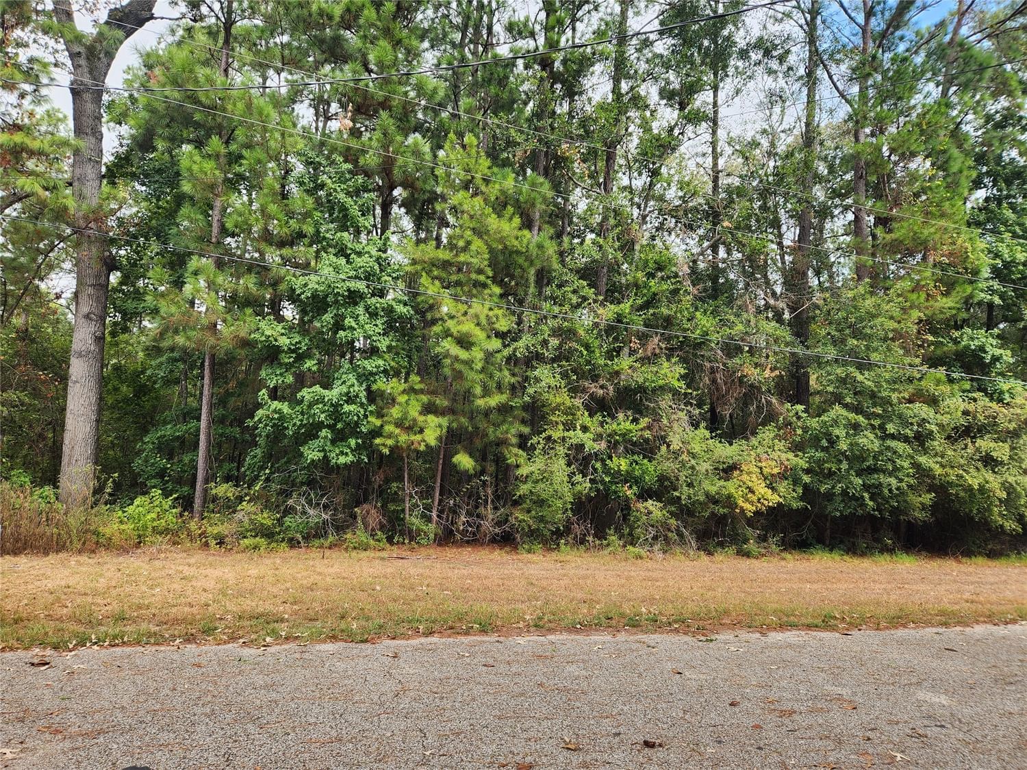 Real estate property located at TBD Holly, Polk, Onalaska, TX, US