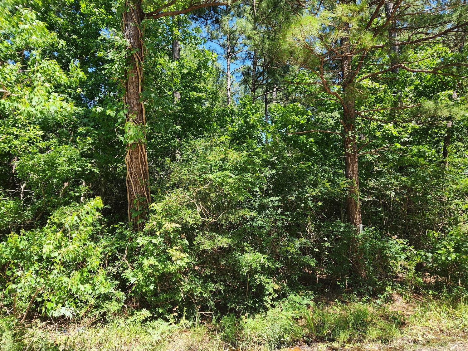 Real estate property located at Lot 14 Scarlet Oak, Grimes, Pinebrook, Plantersville, TX, US