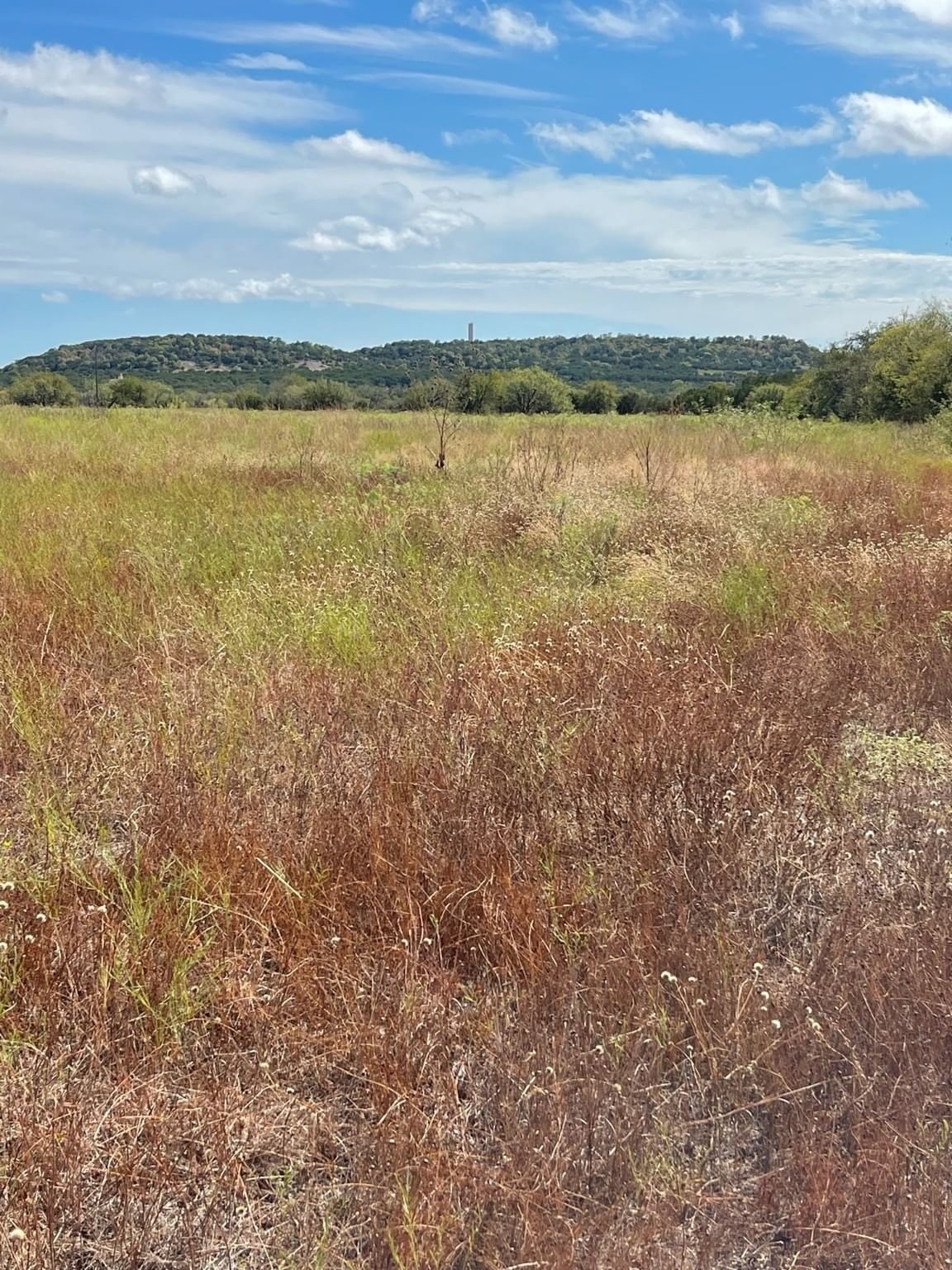 Real estate property located at TBD County Rd 137, Coryell, Alford Ranch Estates, Gatesville, TX, US