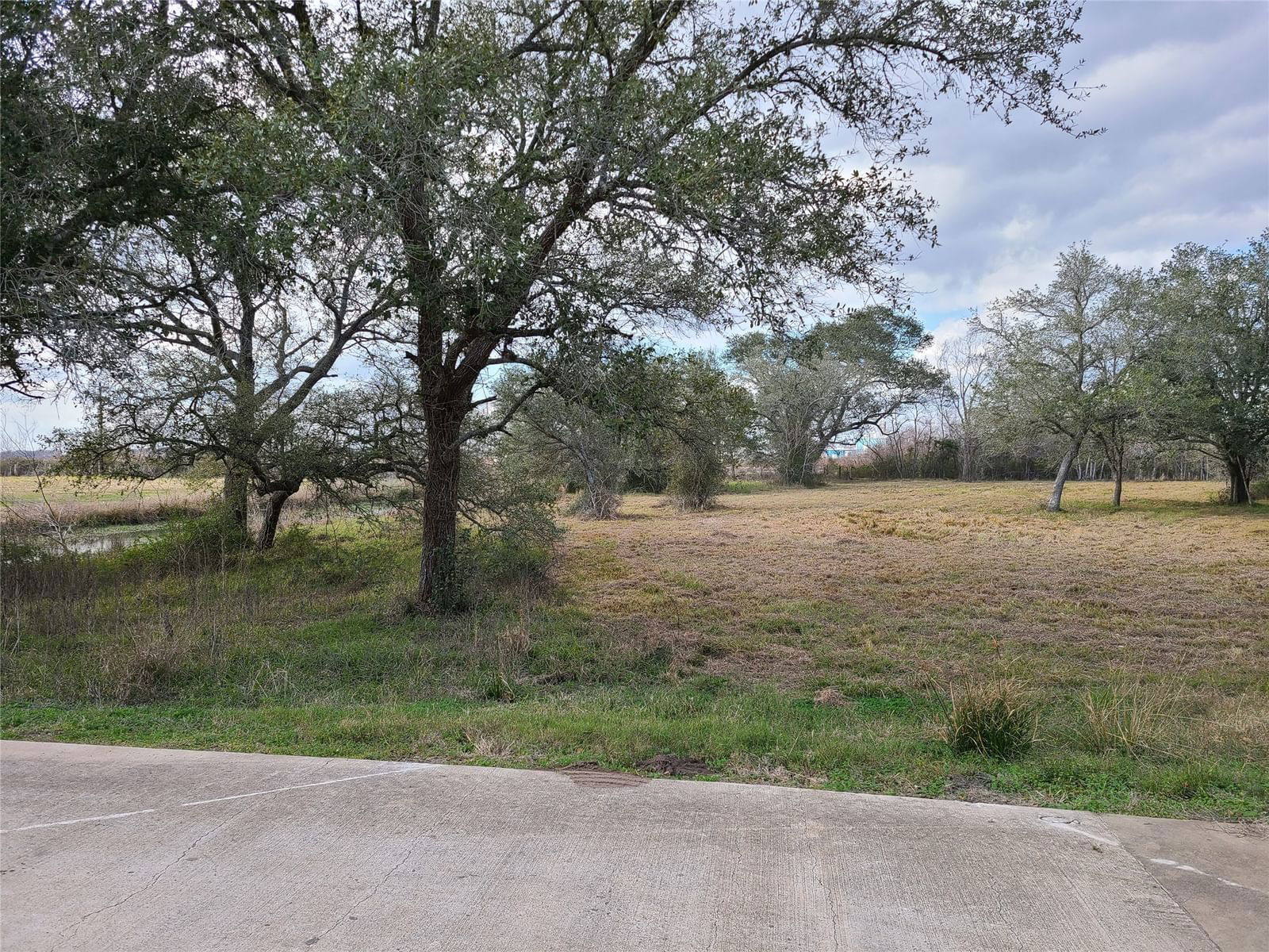 Real estate property located at 12 Cattle, Matagorda, Little River Ranch, Bay City, TX, US