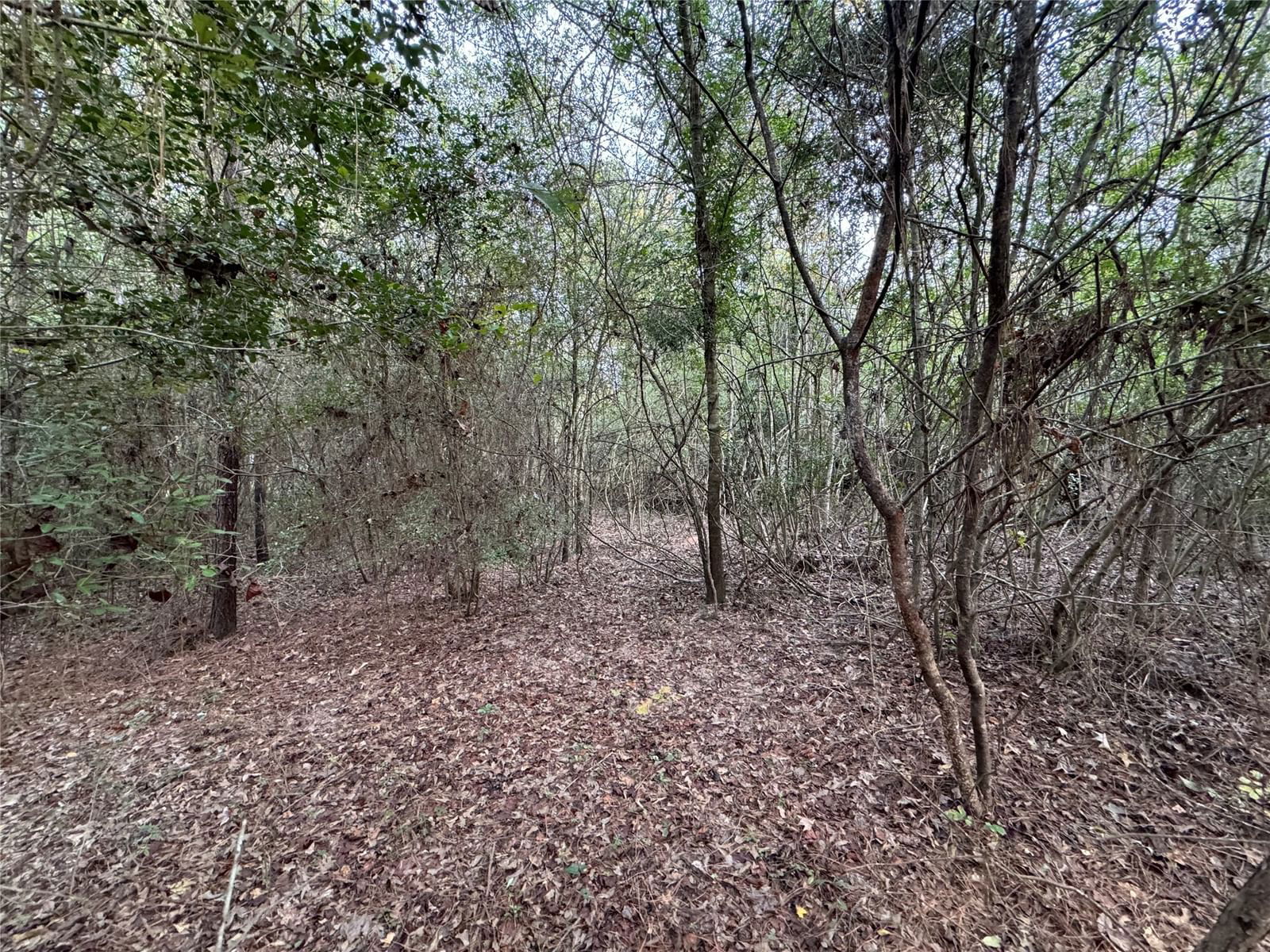 Real estate property located at TBD Phillips Rd, Polk, Impala Woods, Onalaska, TX, US