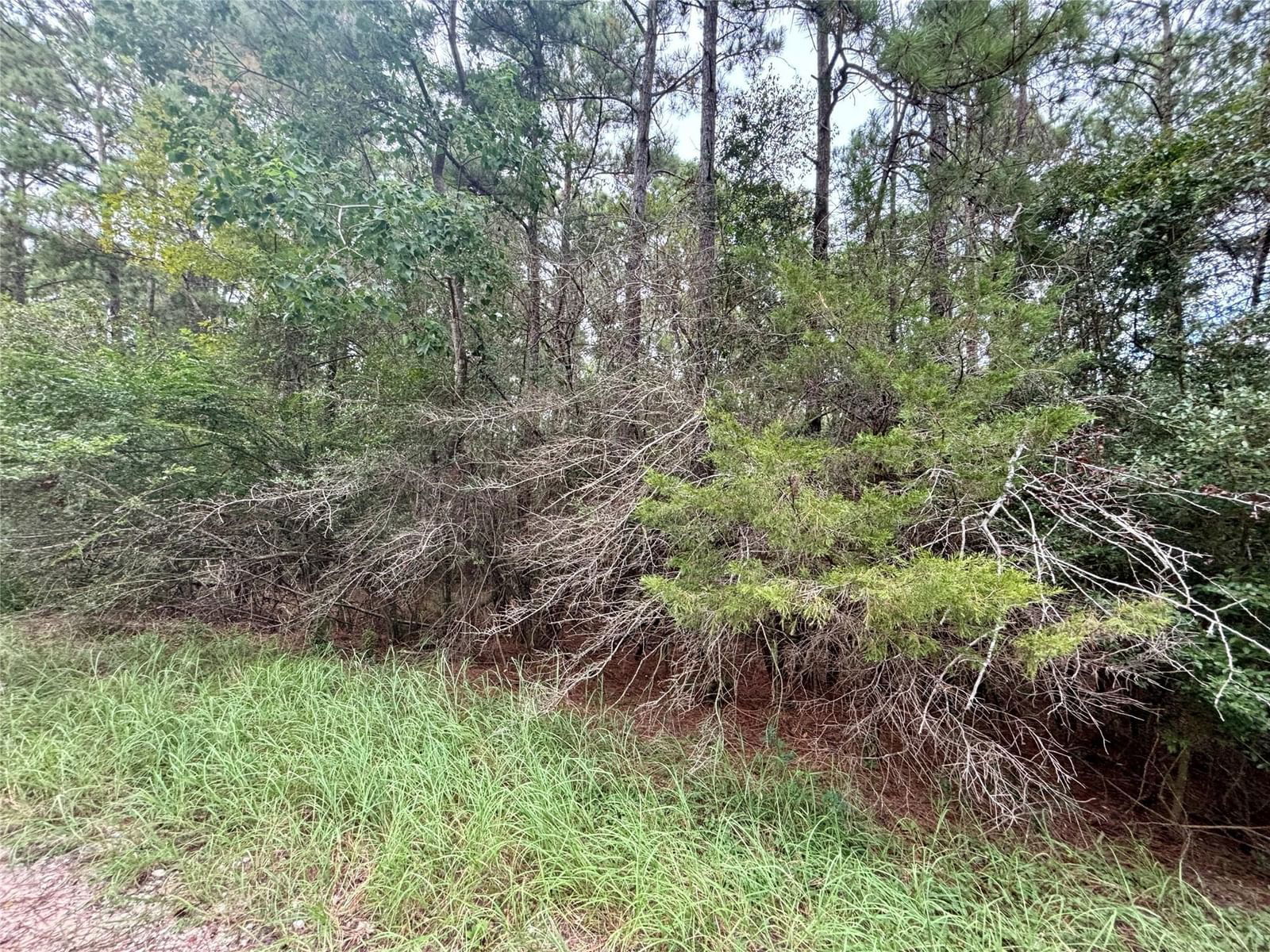 Real estate property located at TBD Parkview, Polk, Twin Harbors Sec 3, Onalaska, TX, US