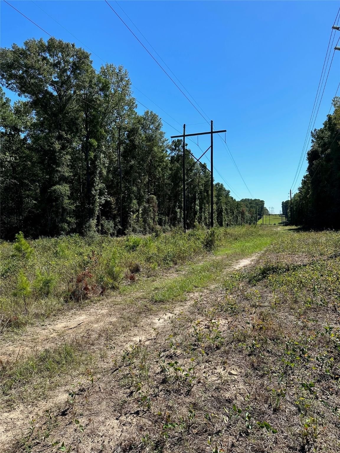 Real estate property located at 000 FM 1632, Tyler, Out of Town, Woodville, TX, US