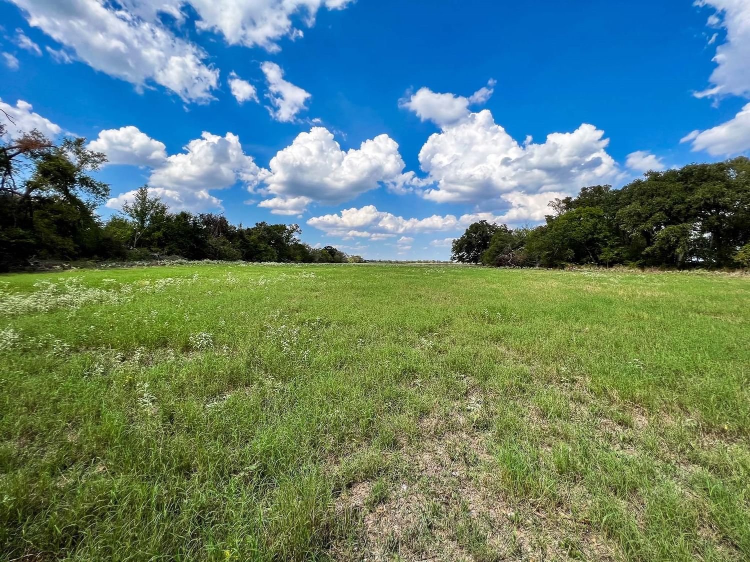 Real estate property located at Tract 8 FM 2745, Falls, N/A, Kosse, TX, US