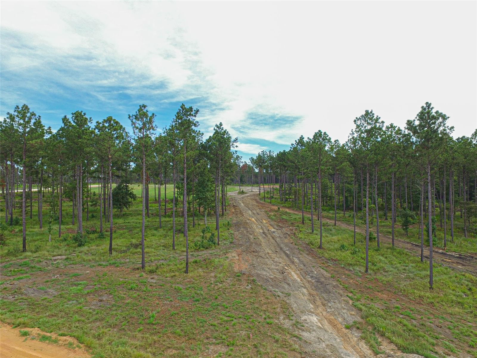 Real estate property located at 006 Nelson Dr, Polk, NELSON RANCHES, Livingston, TX, US