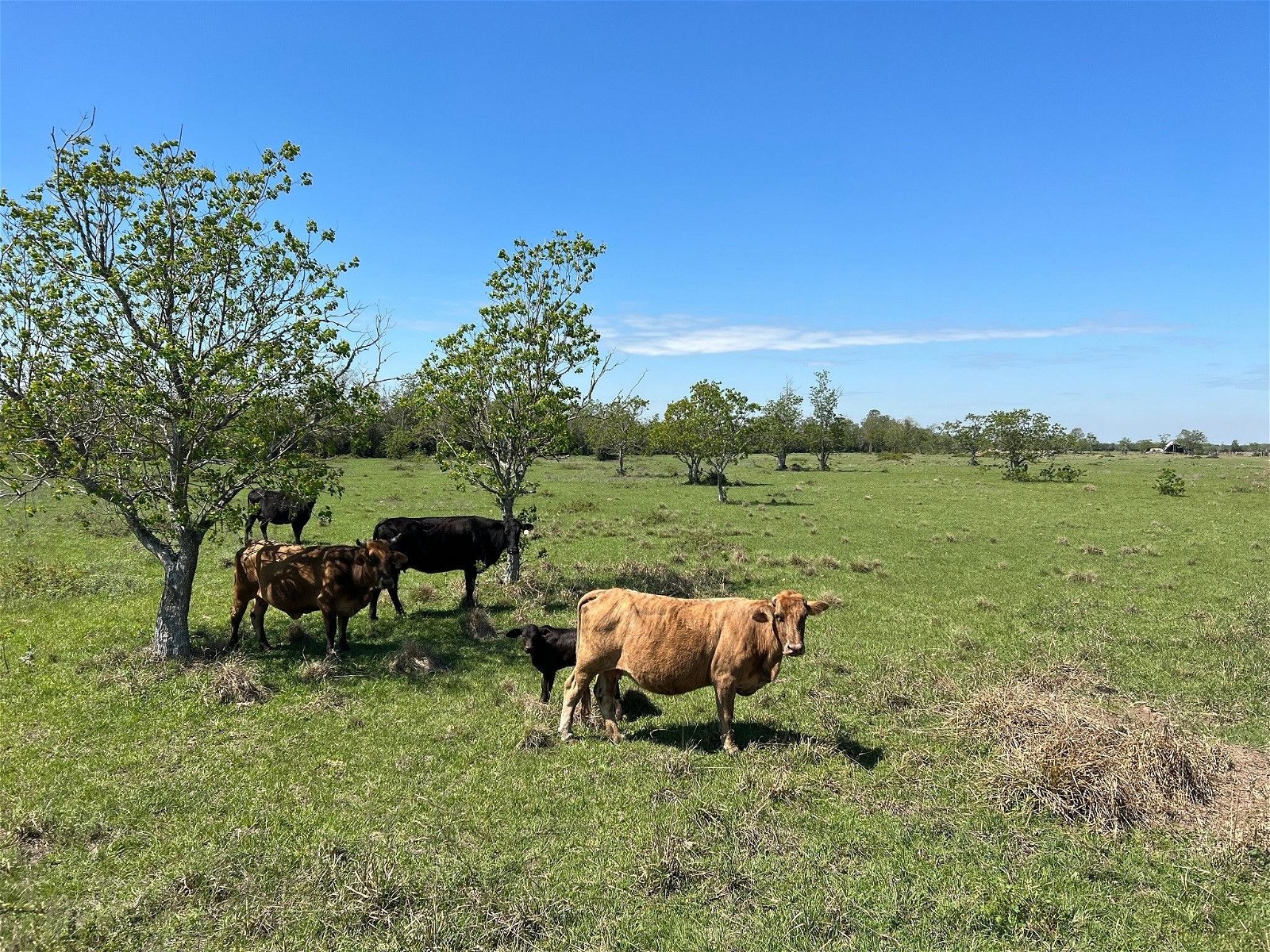 Real estate property located at 0.00 Fm 362, Waller, *, Brookshire, TX, US