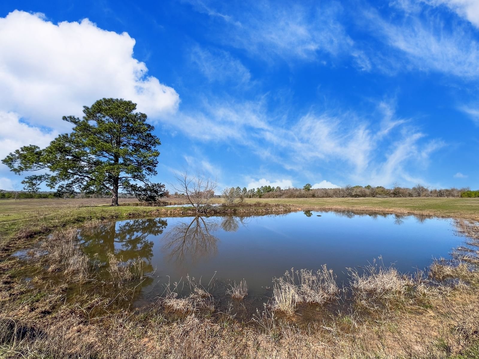 Real estate property located at 20+/- Acres County Rd 216, Grimes, N/A, Richards, TX, US