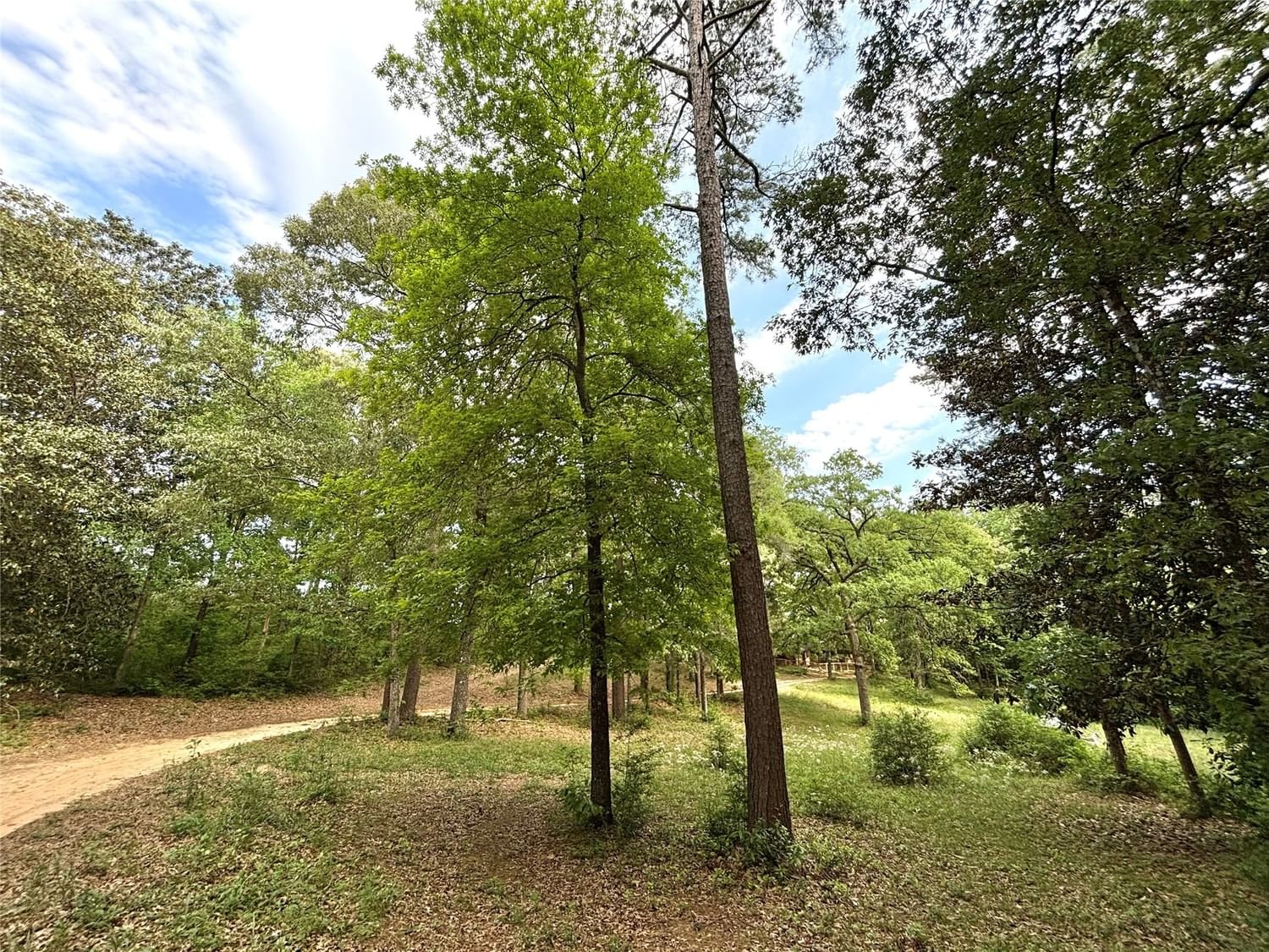Real estate property located at 237 County Road 3523, Tyler, N/A, Woodville, TX, US