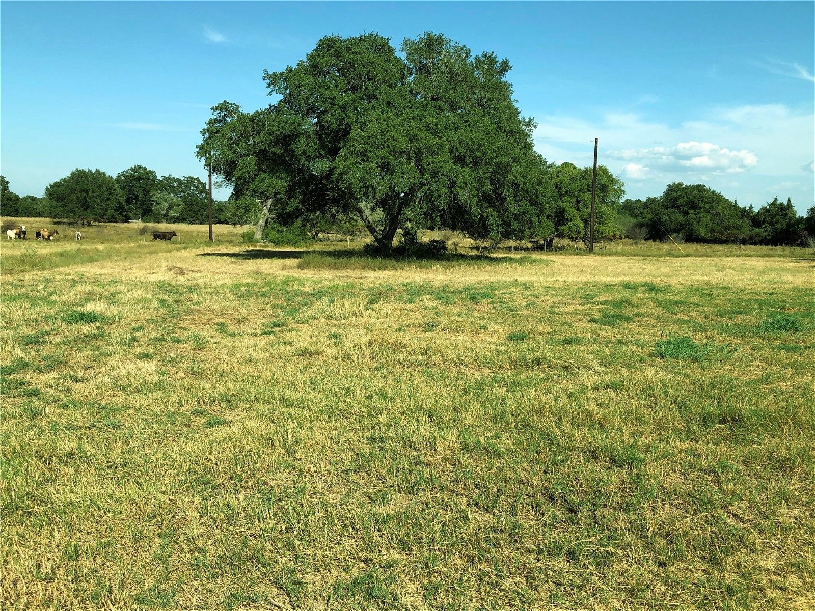 Real estate property located at Lot 7 Pvt 1672, Lavaca, Hallettsville, TX, US