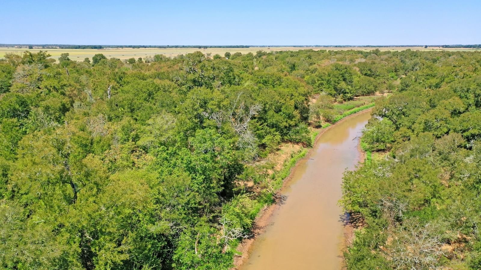 Real estate property located at 123.8 Ac County Road 443, Burleson, cr 443, Snook, TX, US
