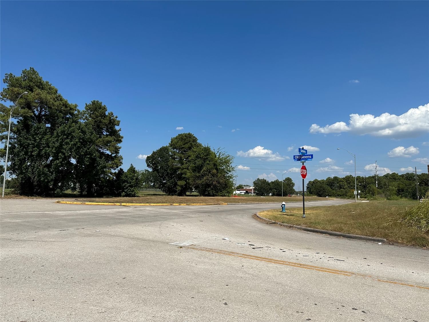 Real estate property located at 1539 Old Greens, Harris, Houston, TX, US
