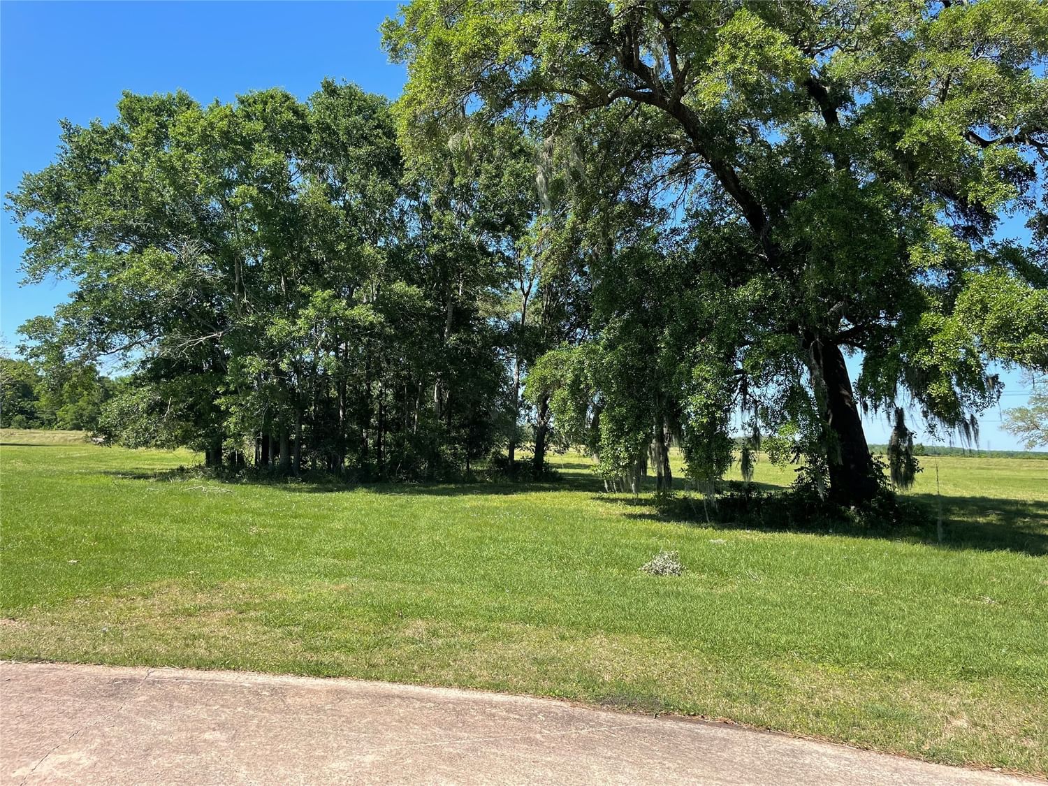 Real estate property located at 0 Green Pasture Ct, Brazoria, Bar X Ranch Sec 16, Angleton, TX, US