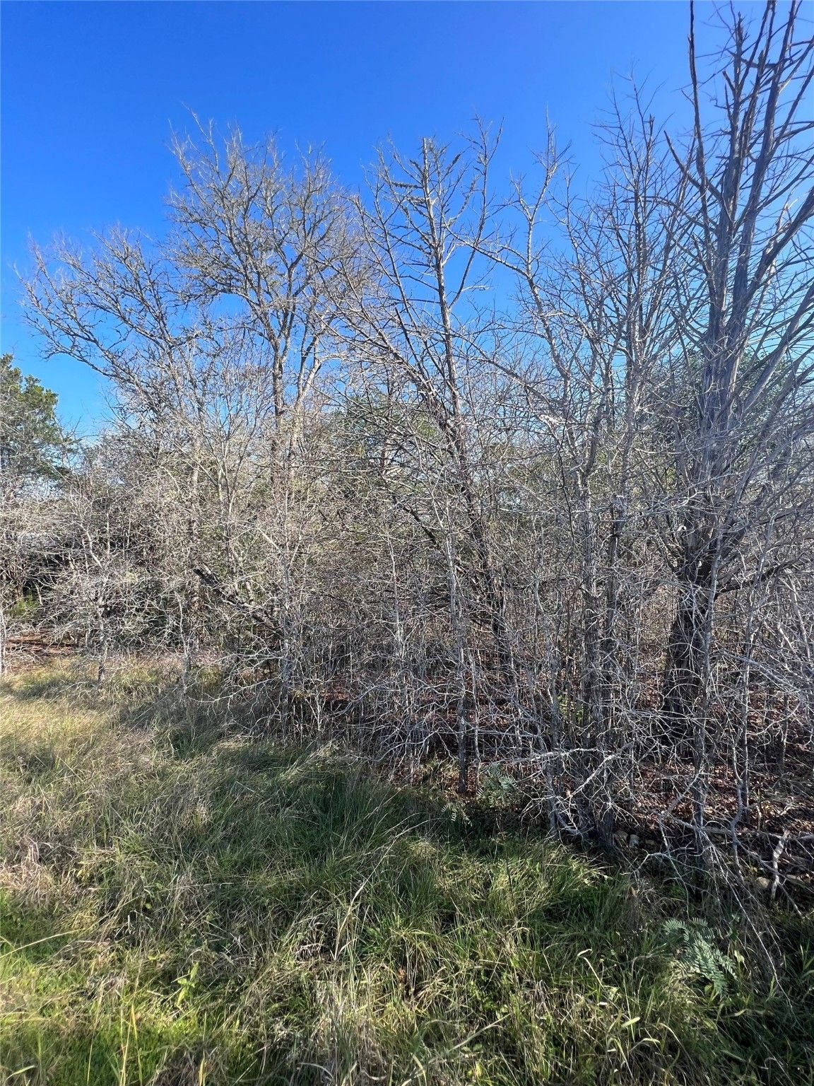Real estate property located at Lot 97 Big Bow, Bastrop, Indian Lake, Smithville, TX, US
