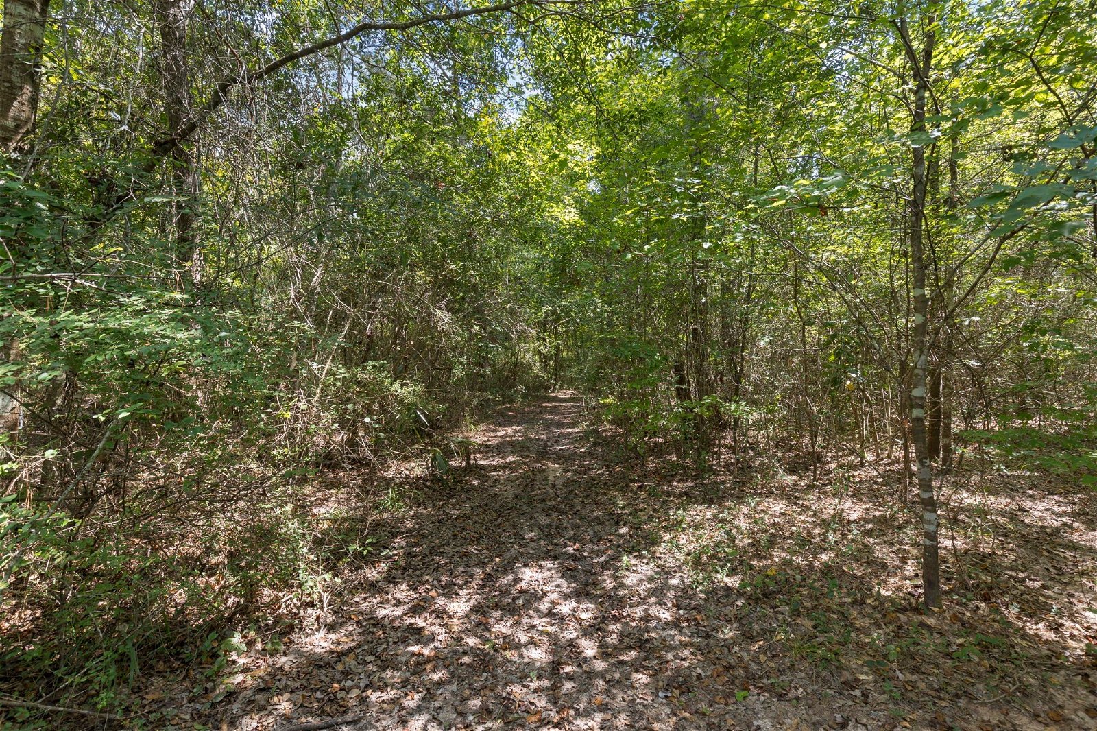 Real estate property located at TRACT 1 County Road 3813, Liberty, Shipp, Cleveland, TX, US