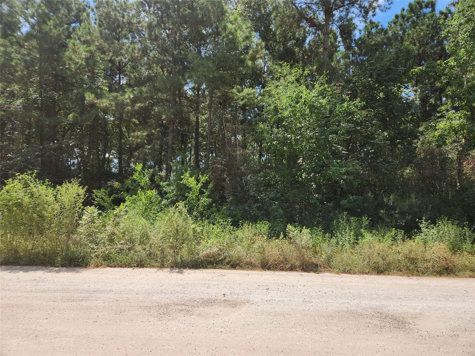 Real estate property located at Lot 5 Tawnyberry, Grimes, Pinebrook, Plantersville, TX, US