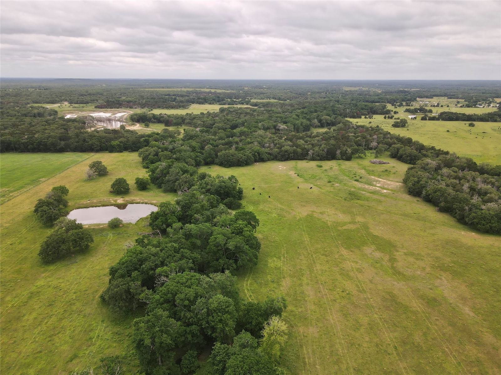 Real estate property located at 469 Friendship Cemetery, Bastrop, None, Paige, TX, US