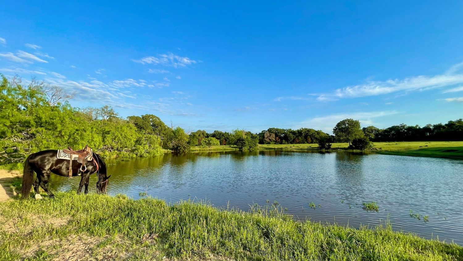 Real estate property located at 14129 Vitera Sand Road, Robertson, None, Bremond, TX, US