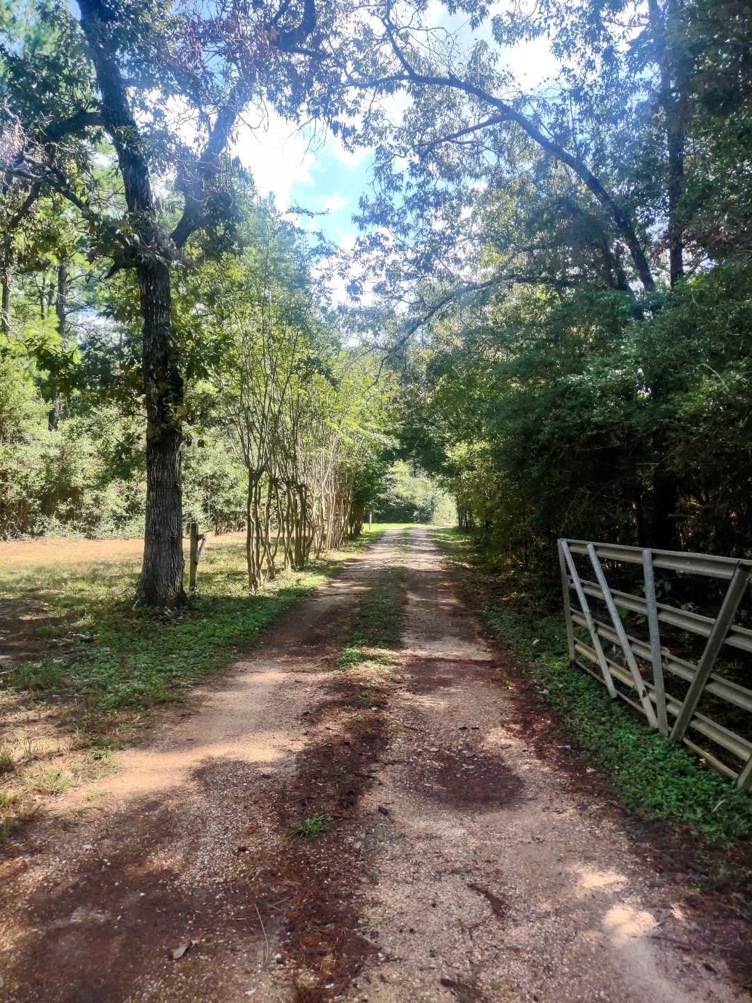 Real estate property located at 16791 Lone Star, Grimes, Lone Star Forest, Navasota, TX, US