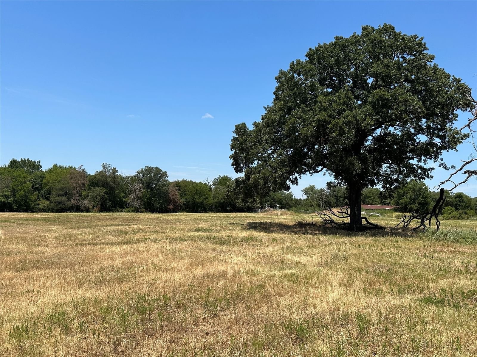 Real estate property located at 197 FCR 601, Freestone, Fairfield, TX, US