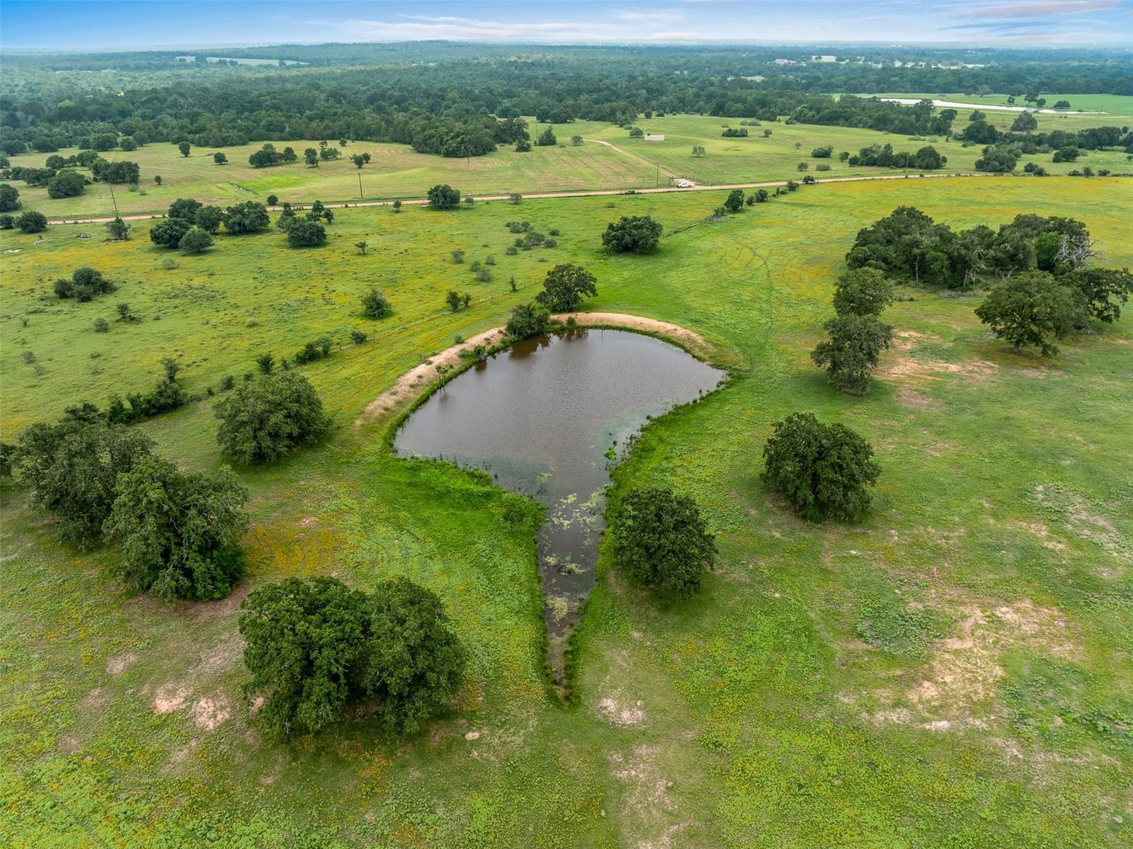 Real estate property located at TBD FM 141 - 43B, Lee, Freeman T A123 Tr #1, Giddings, TX, US