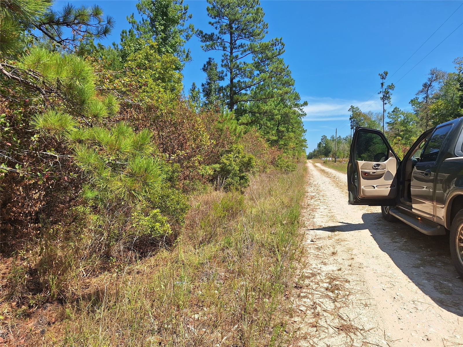 Real estate property located at 000 Tom Marsh, Polk, Livingston, TX, US