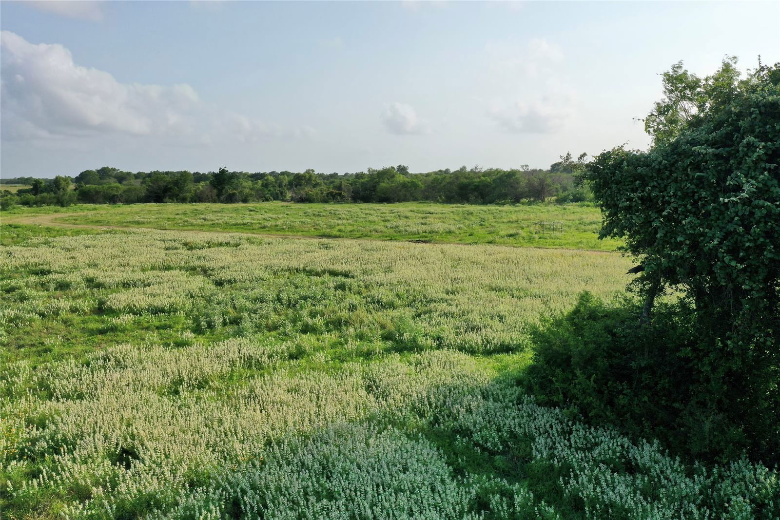 Real estate property located at 174 State Highway 239, Refugio, Tivoli TX, Tivoli, TX, US