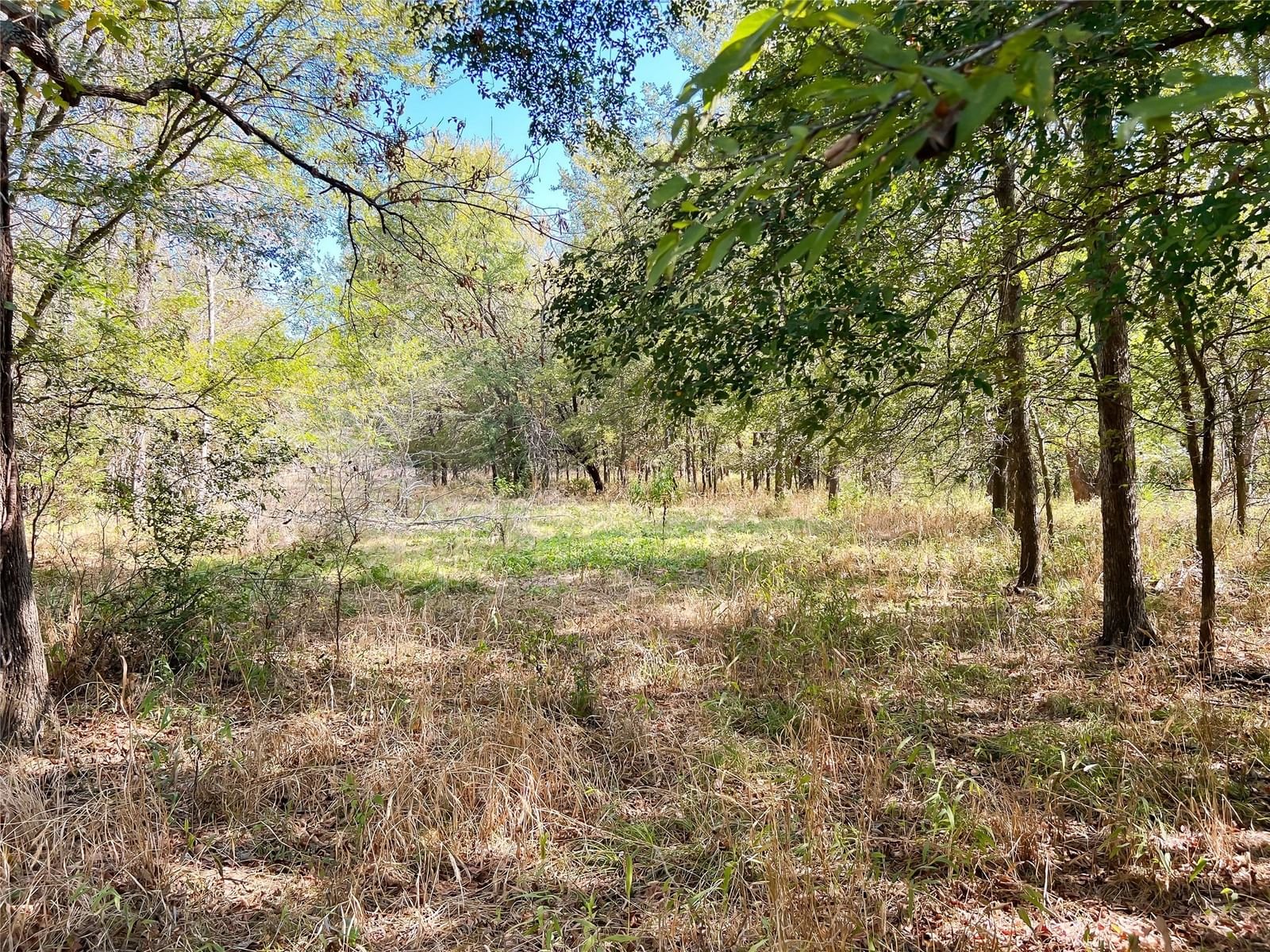 Real estate property located at TBD FCR 290, Freestone, Butler, TX, US