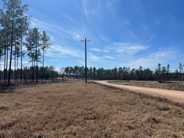 Real estate property located at TBD 10 Red Lowe, Polk, Rolling Pines, Livingston, TX, US