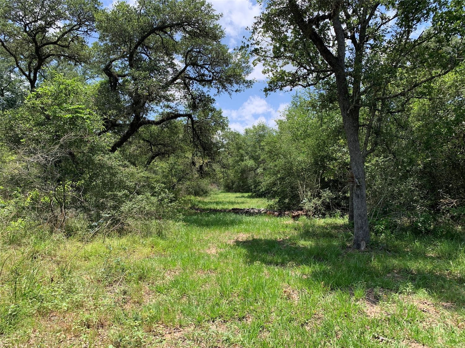 Real estate property located at 0 Private Road 1581, Lavaca, The Lazy Sandies, Hallettsville, TX, US