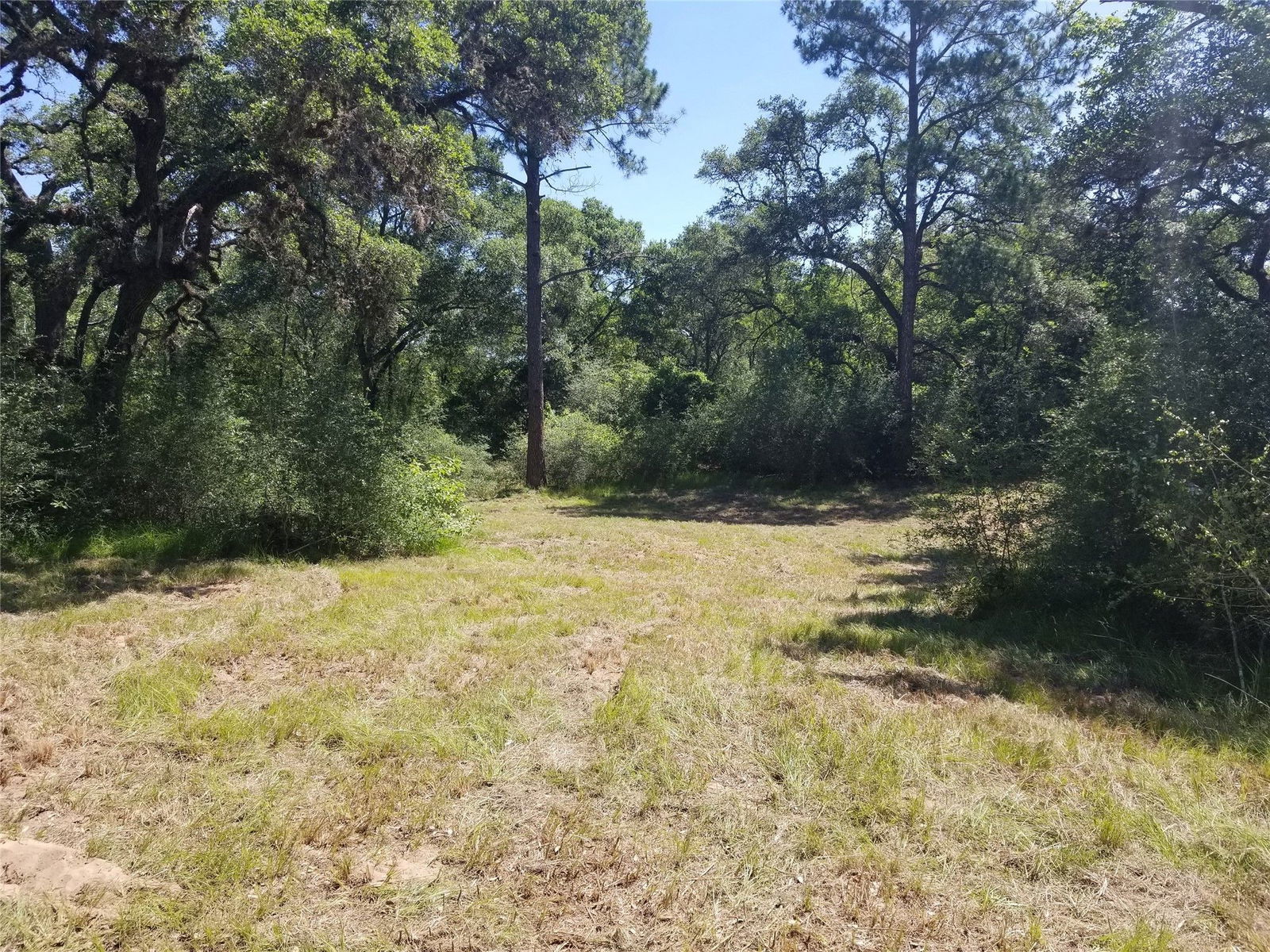 Real estate property located at 0 Bass, Colorado, Garwood, TX, US