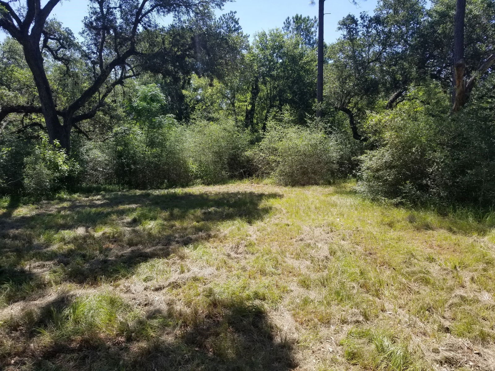 Real estate property located at 0 Bass, Colorado, Garwood, TX, US
