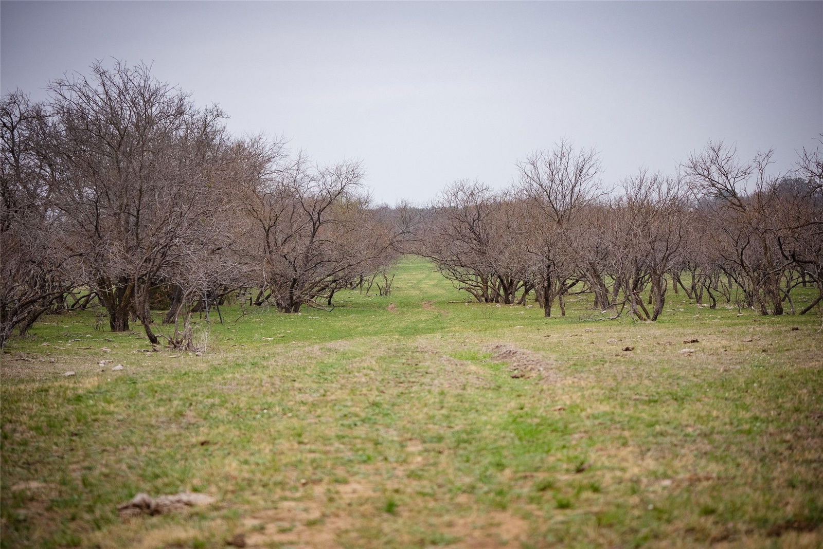 Real estate property located at 31 County Road 617, Hamilton, Hamilton, TX, US