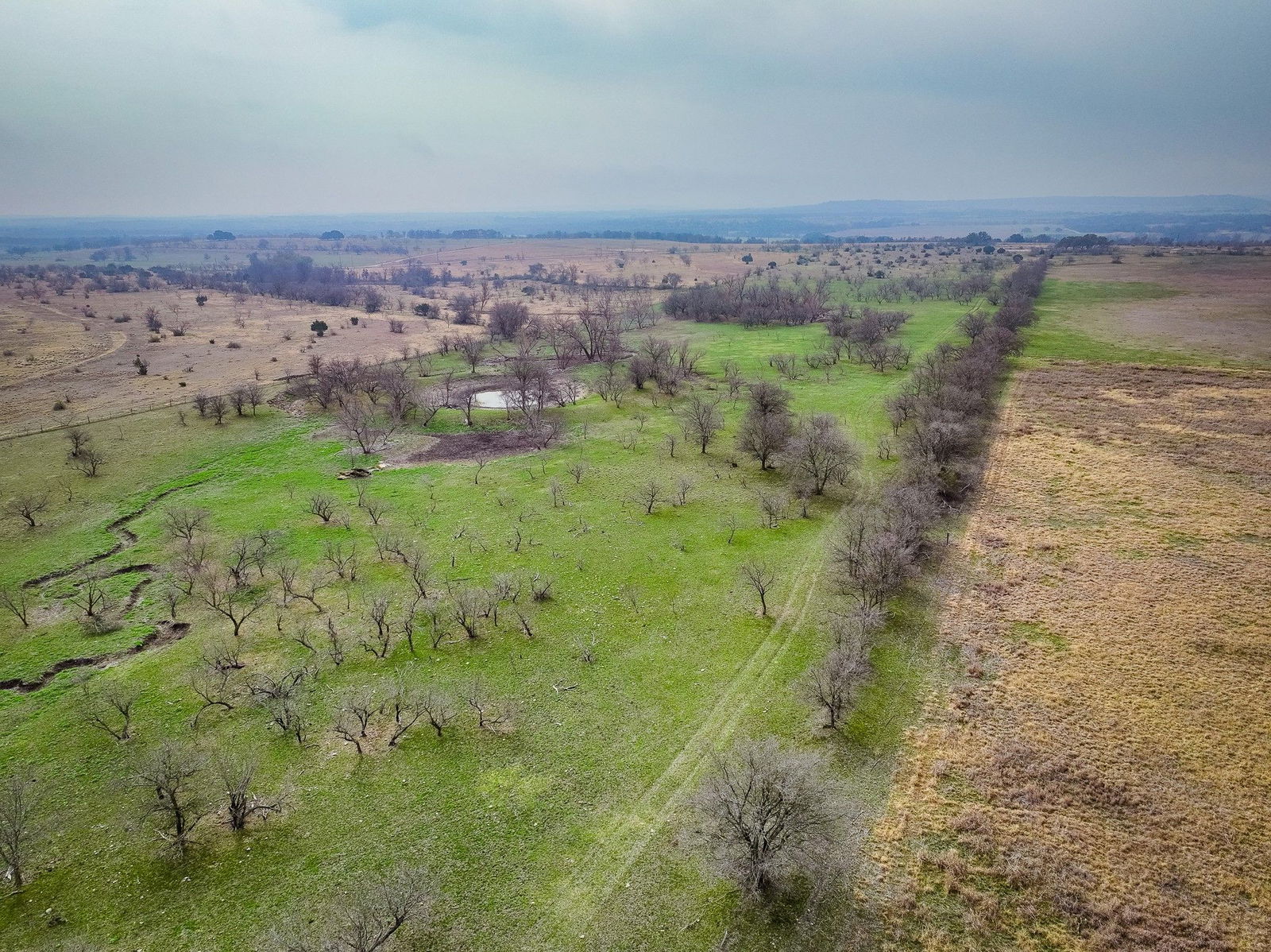 Real estate property located at 31 County Road 617, Hamilton, Hamilton, TX, US