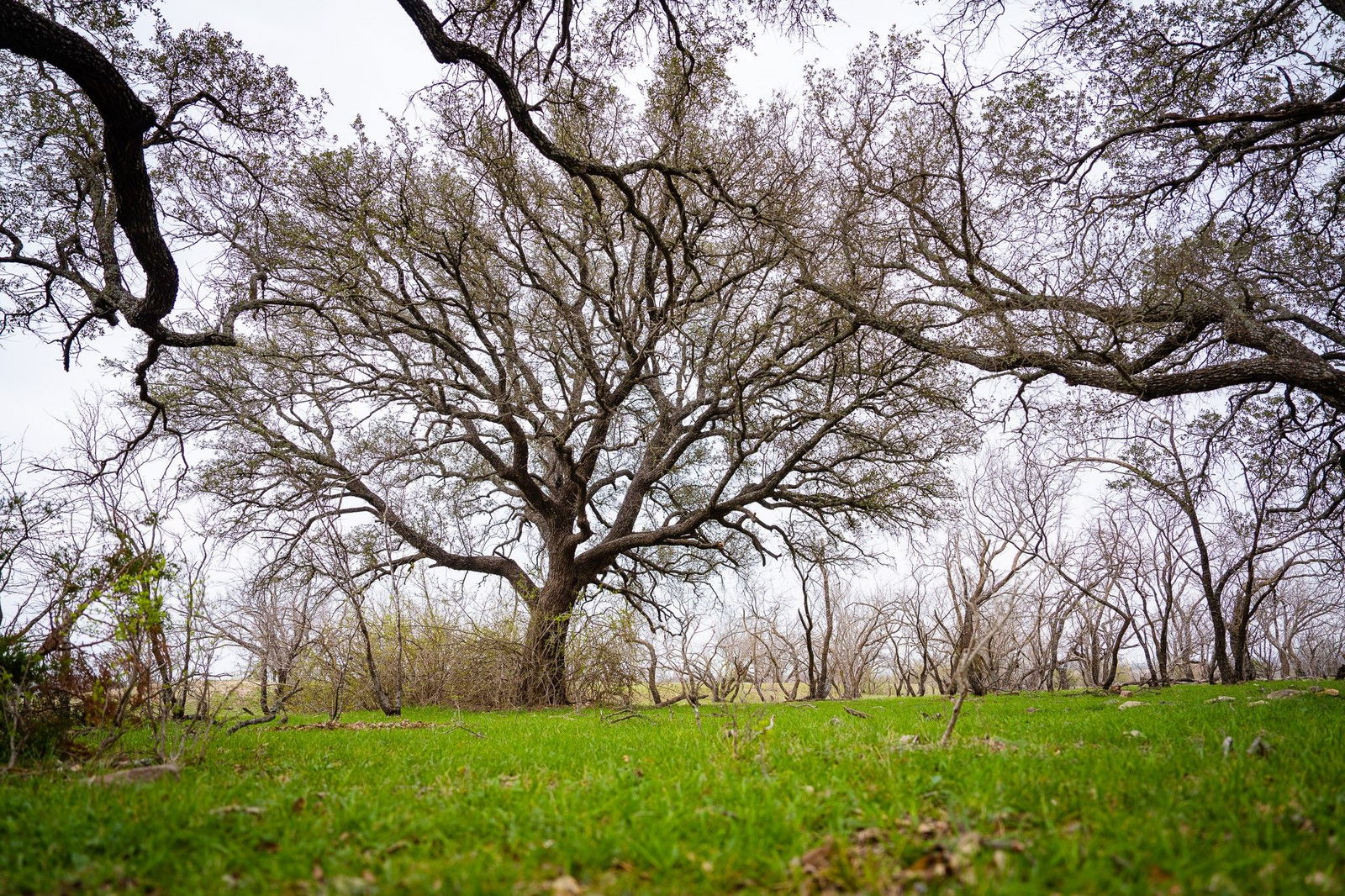 Real estate property located at 31 County Road 617, Hamilton, Hamilton, TX, US