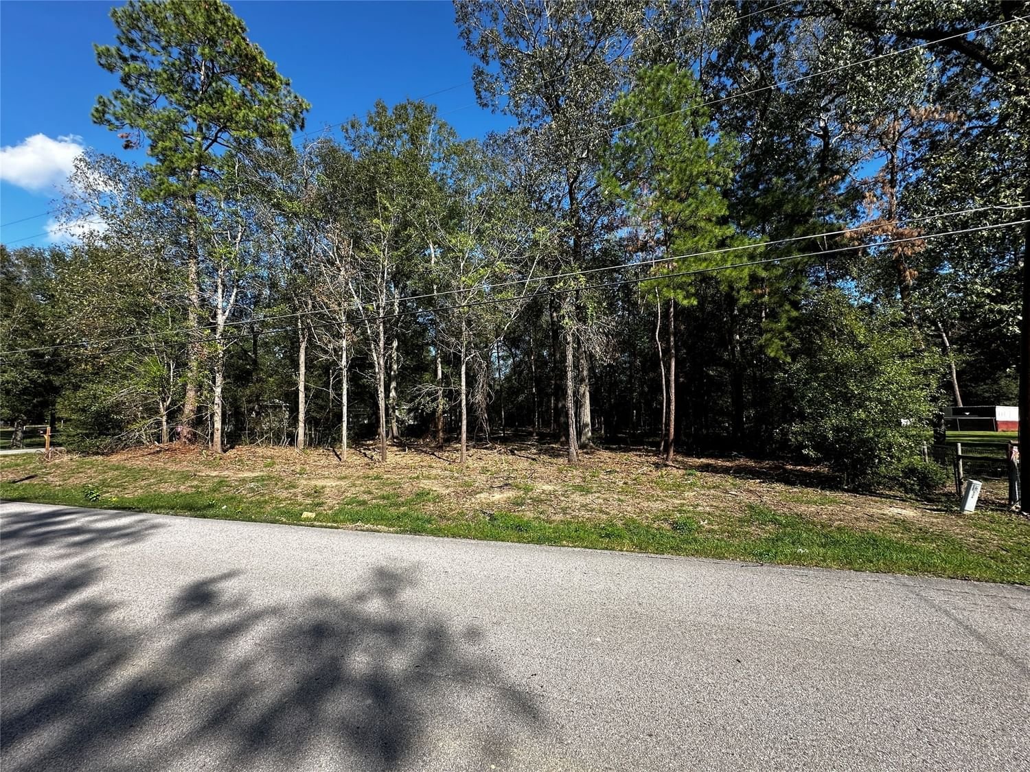 Real estate property located at 20229 Redbud, Montgomery, Redbud Forest, New Caney, TX, US