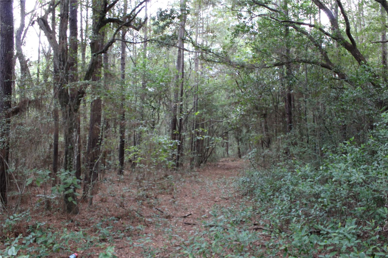 Real estate property located at 0 Thomas, Harris, Huffman, TX, US