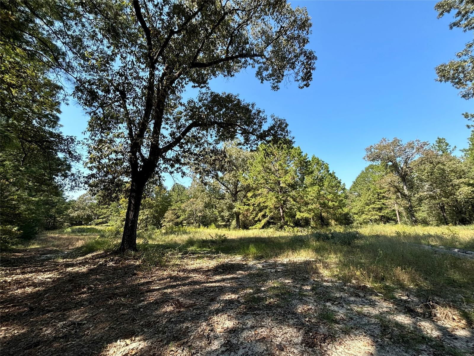 Real estate property located at TBD County Road 3266, Tyler, N/A, Colmesneil, TX, US