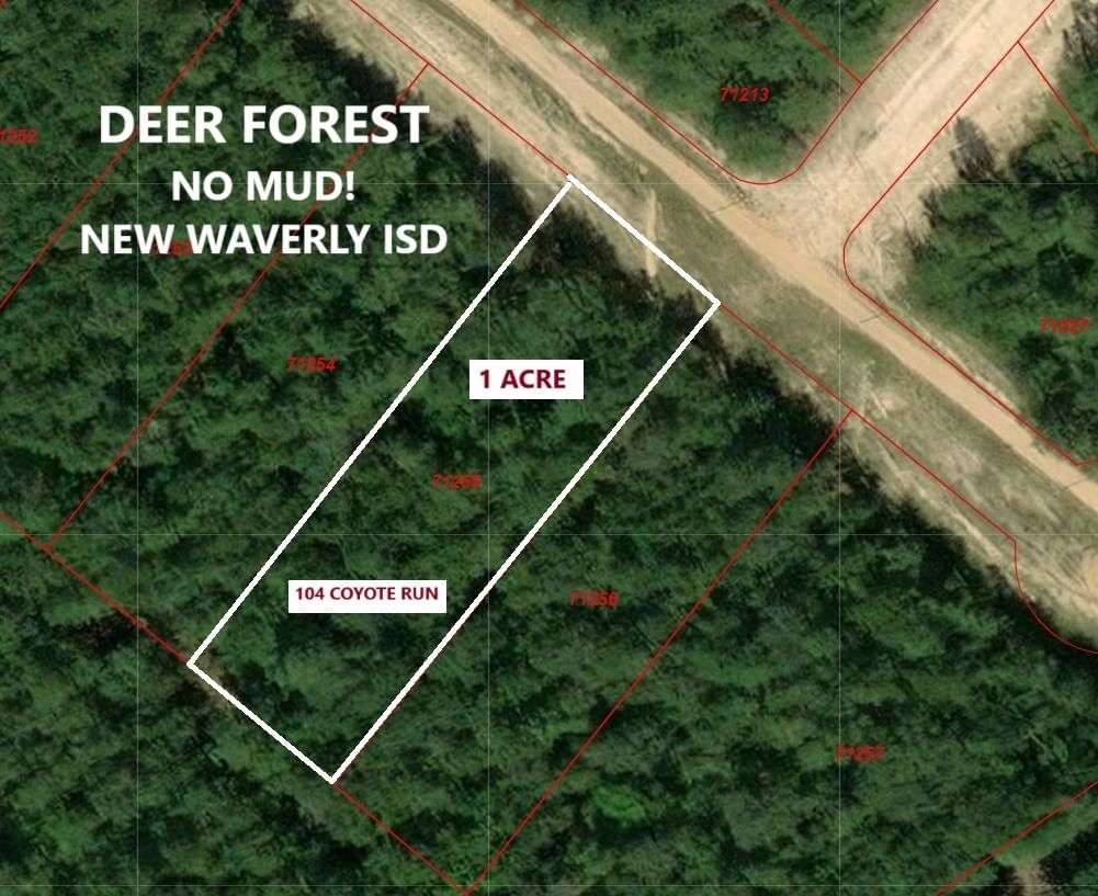 Real estate property located at 104 Coyote, Walker, Deer Forest Sub, Willis, TX, US