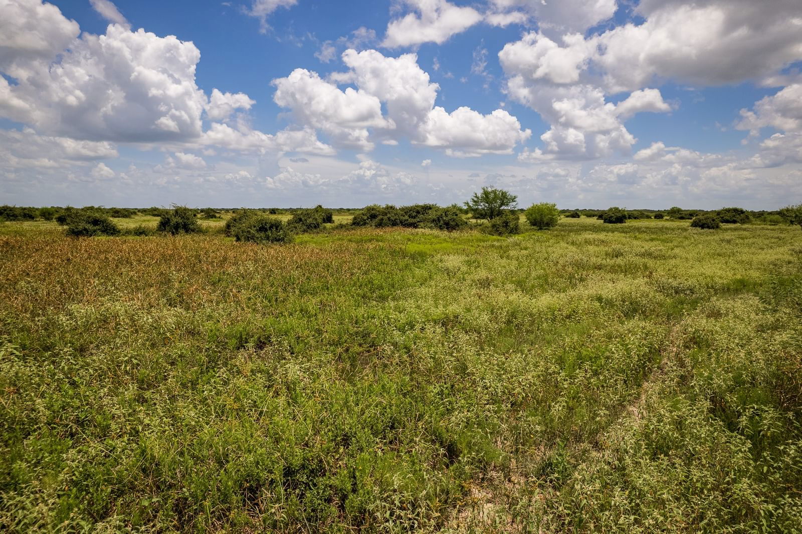 Real estate property located at 83 Acres County Road 18, Lavaca, NA, Hallettsville, TX, US