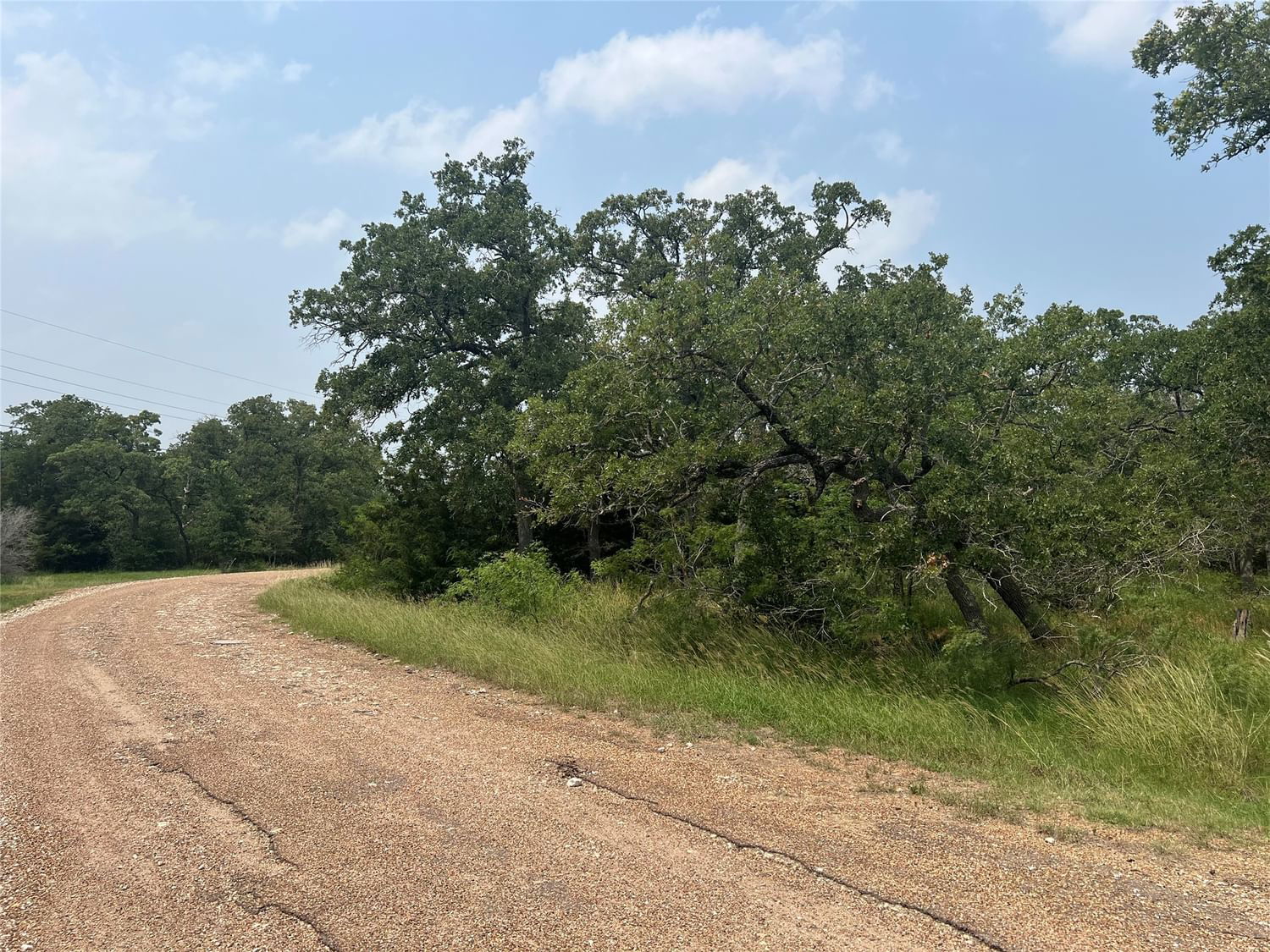 Real estate property located at 190 Whispering Woods, Burleson, Wilderness Sounds, Somerville, TX, US