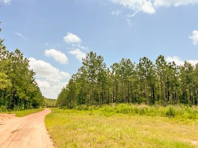 Real estate property located at 0000 County Road 1425, Tyler, Warren, TX, US