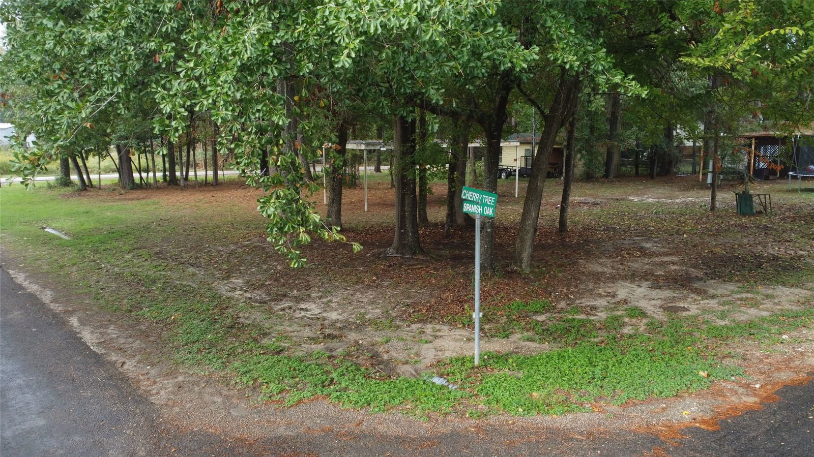 Real estate property located at 115 Cherry Tree, Polk, Cedar Point Sec 1, Livingston, TX, US