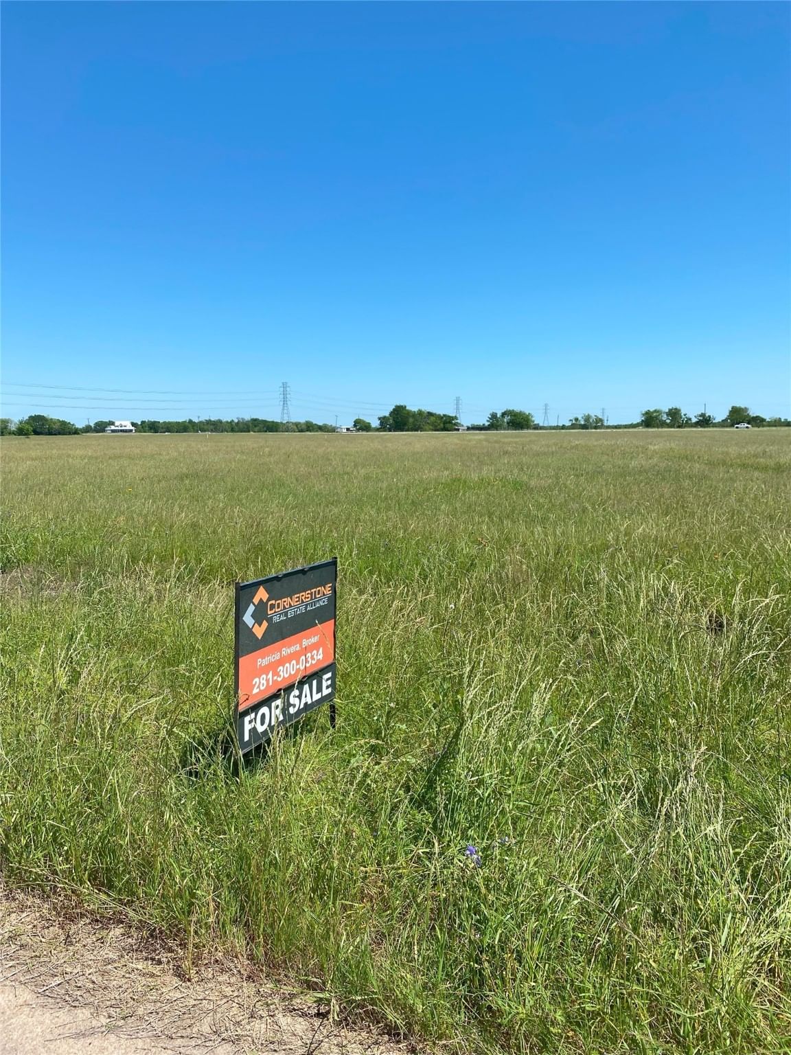 Real estate property located at 00 Brahman, Brazoria, Bar X Ranch Sec 5, Angleton, TX, US