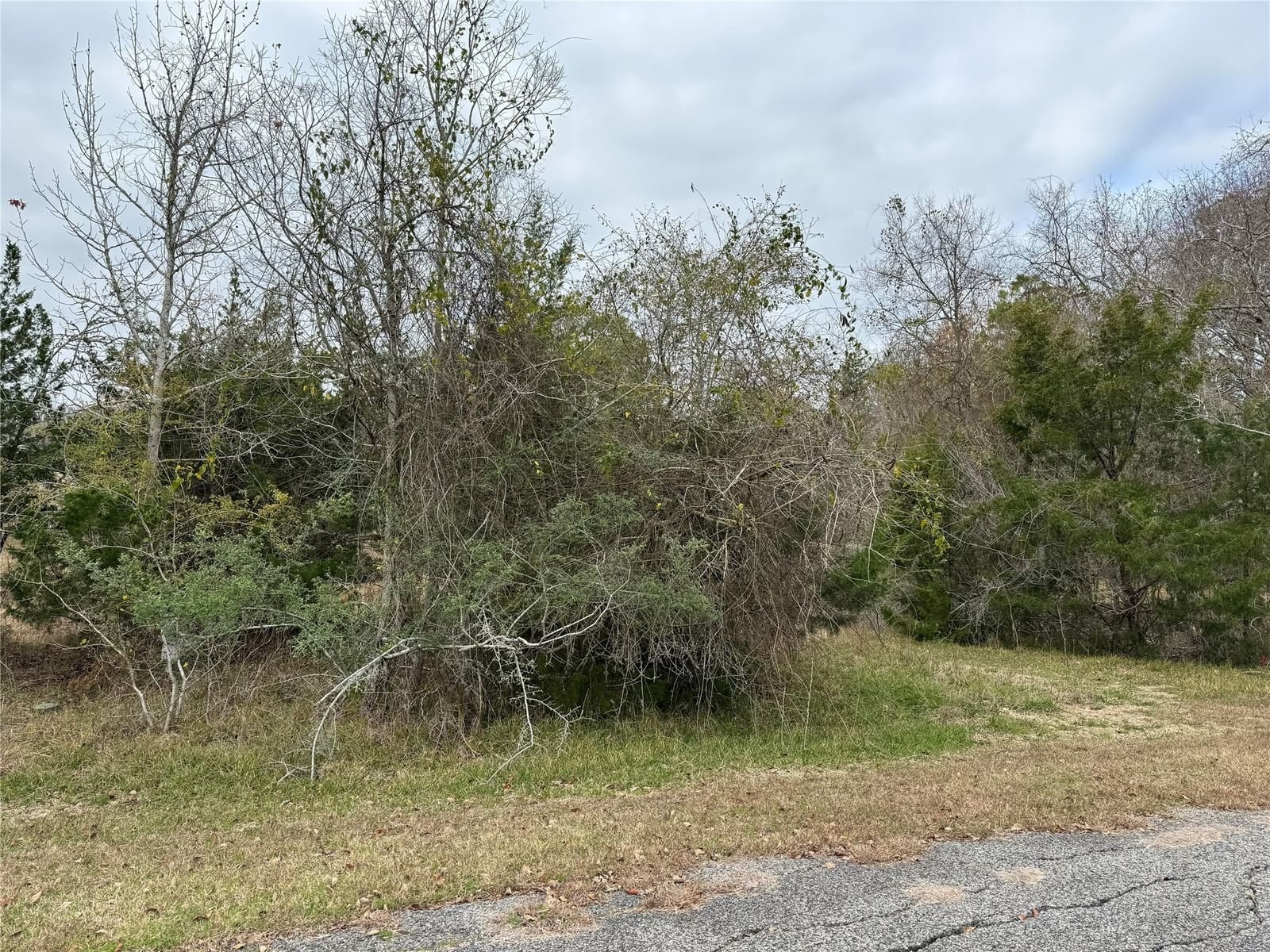 Real estate property located at Lot 101 Elm Cove, San Jacinto, Cape Royale, Coldspring, TX, US