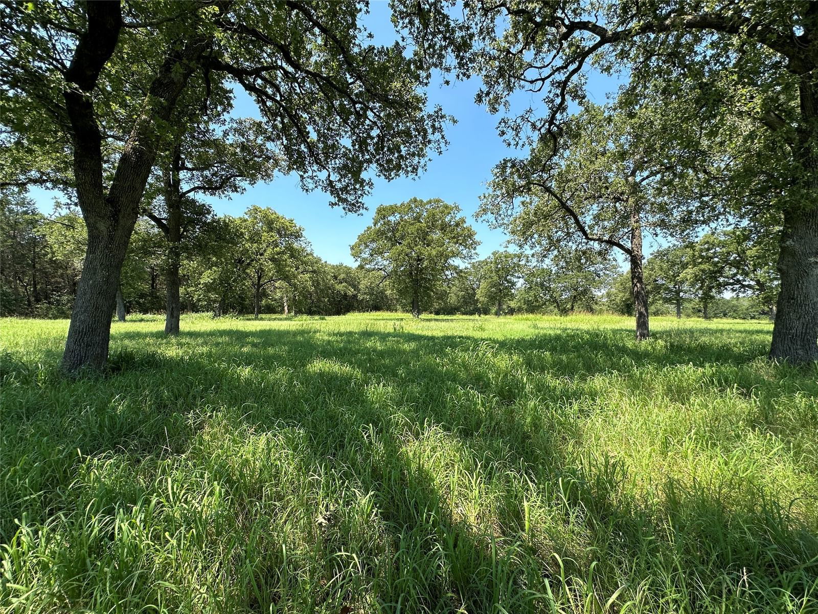 Real estate property located at TBD #1 FM 2547, Freestone, NA, Fairfield, TX, US