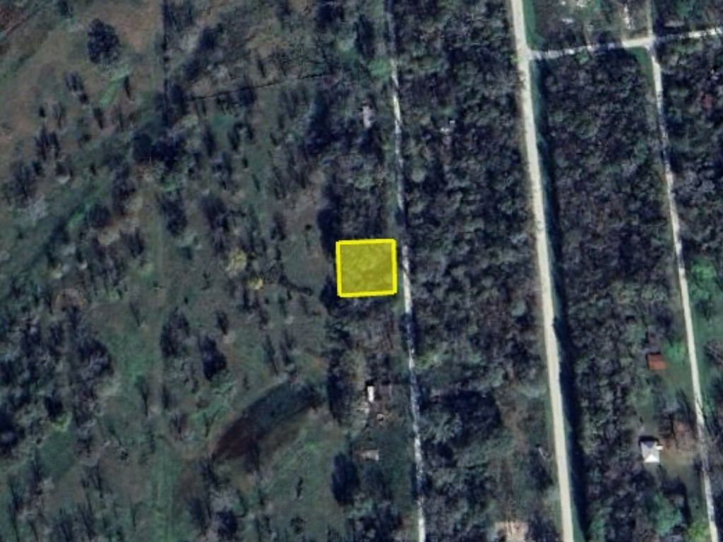 Real estate property located at 0 Wynne, Walker, Deep River - Sec 1, Trinity, TX, US