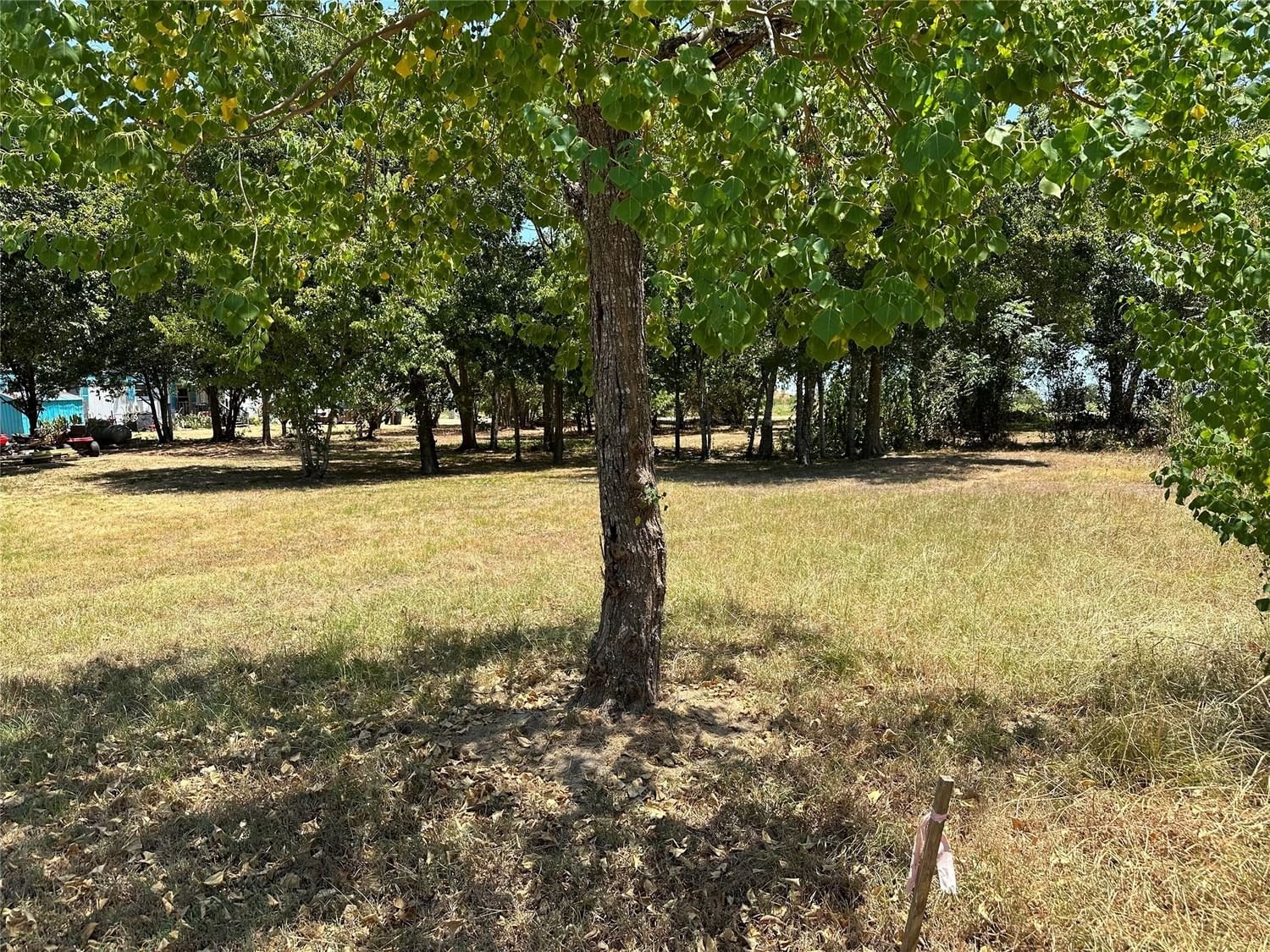 Real estate property located at 115 Walnut, Burleson, Caldwell, TX, US